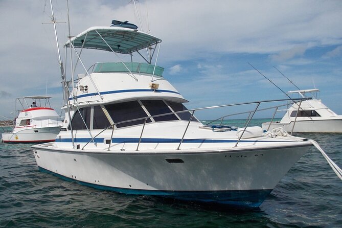 4 Hour Punta Cana Fishing Tour - Feedback and Service Improvement