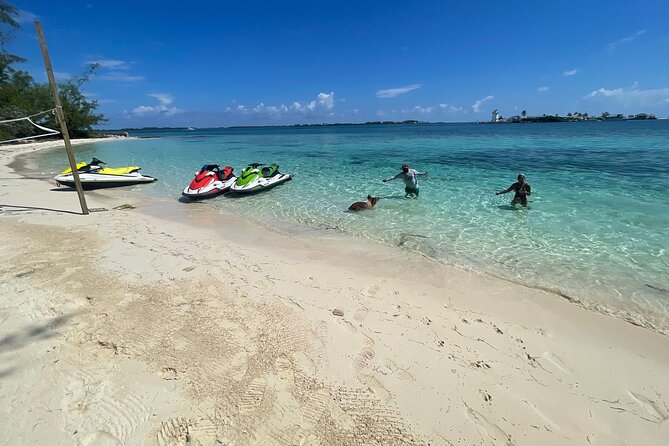 4-Hour Tour in Bahamas With Jet Ski and Swimming With Pigs - Traveler Reviews and Ratings