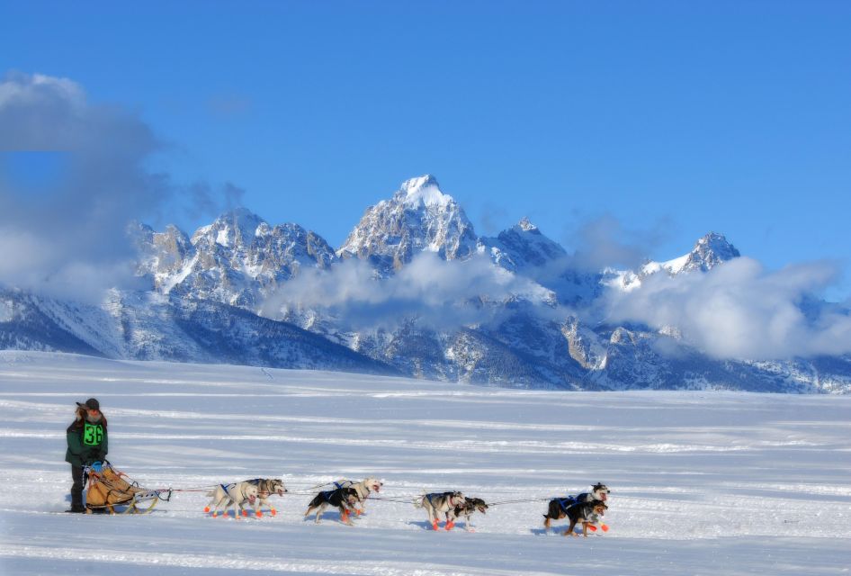 5-Day Winter Yellowstone Wildlife Tour - Transportation and Pickup