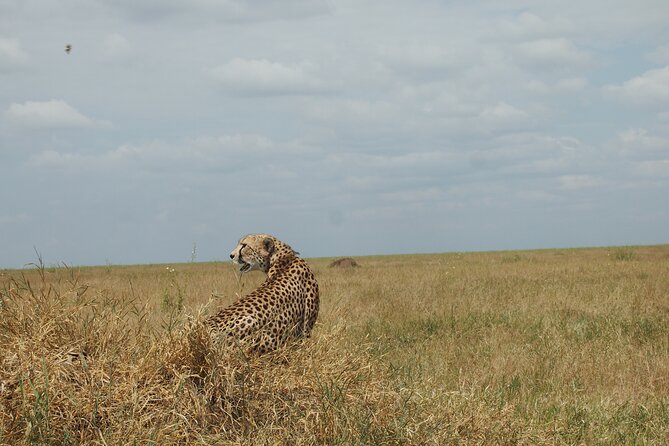 5 Days Tanzania Camping Safari - Additional Information