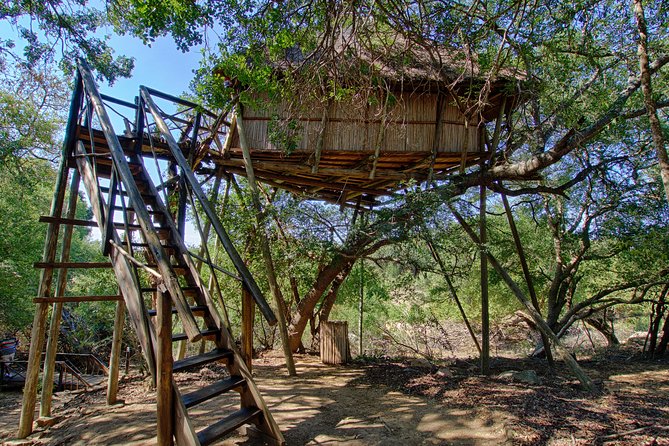 6 Day Lodge and Treehouse Kruger National Park Safari - Airport Transfers Provided