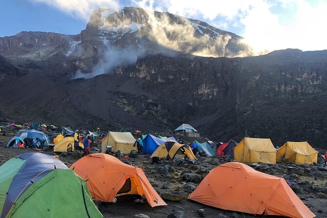 8 Days Kilimanjaro Hike via Lemosho Route - Safety Considerations