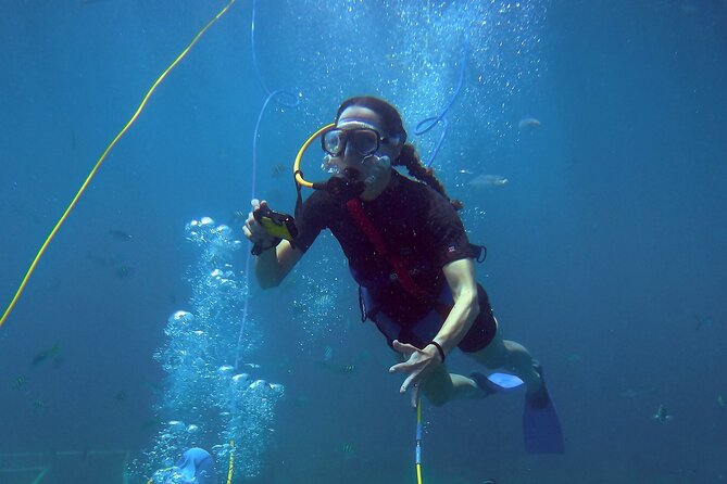 Adventure SNUBA in St. Maarten - Marine Life Exploration