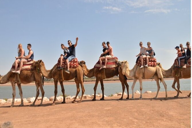 Agadir Camel Ride Experience - Group Size and Capacity