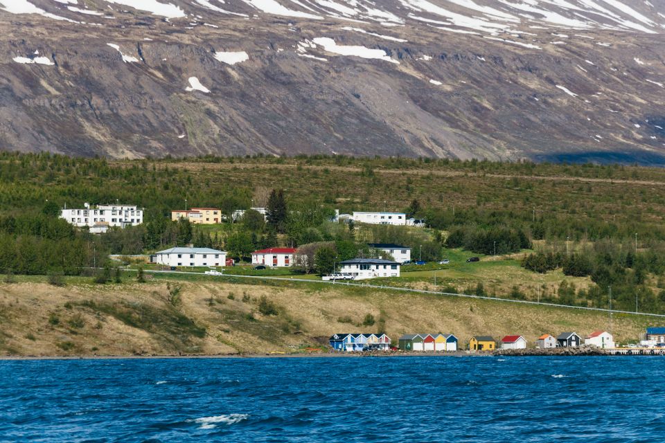 Akureyri: 3-Hour Classic Whale Watching Tour - Exploring Eyjafjord