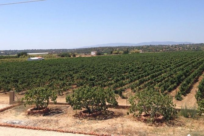 Algarve Wine Tour and Mountain Top Trip With Lunch or Dinner at Sunset Time - Hotel Pickup and Drop-off Convenience