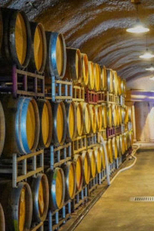 All Inclusive Sustainable Wine and Distillery Tour - Departure Location