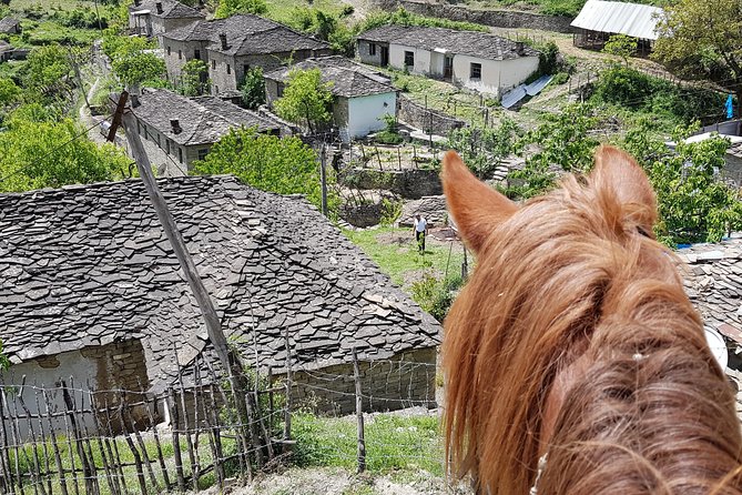 Amazing Horse Riding Experience at Vjosa National Park in Permet - Cancellation Policy and Refund Details