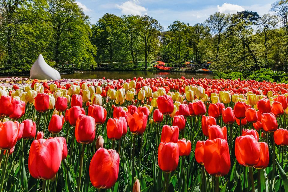 Amsterdam: Keukenhof Entry and Roundtrip Shuttle Transfer - Activities and Attractions