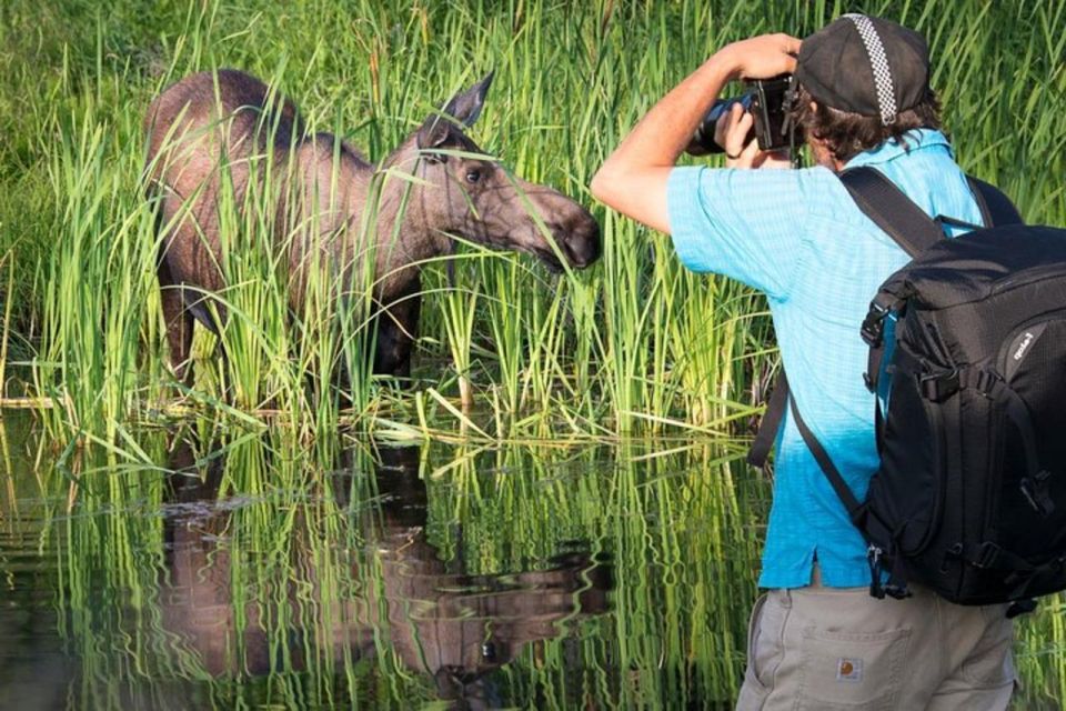 Anchorage: Sunset Photo Safari - Scenic Sites