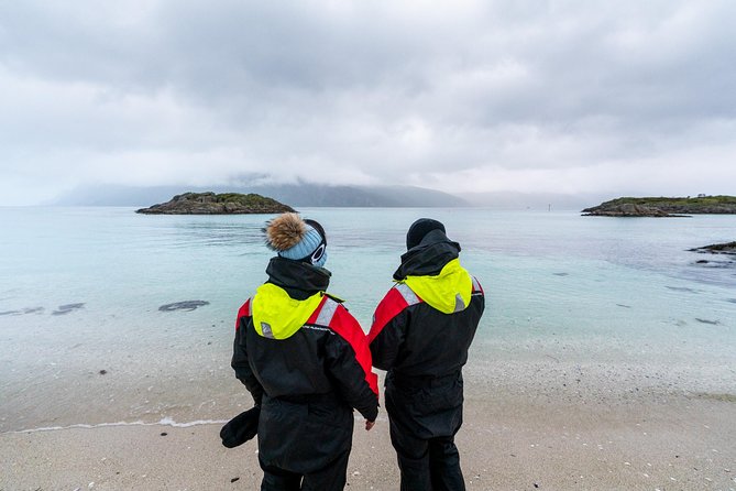 Arctic Fjord Sightseeing by Minibus - Hella Rock Carvings Exploration