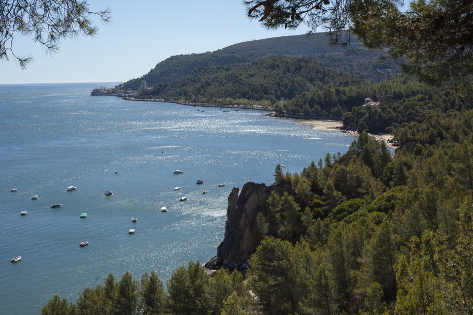 Arrábida: Full Day Tour of the Town With Wine Tasting - Stunning Cape Espichel