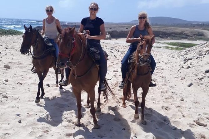 Aruba Countryside: Horseback Adventure to Urirama Cove - Booking and Contact Information