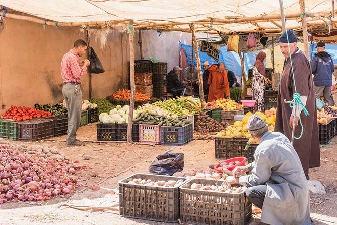 Atlas Mountain From Marrakech - Activities