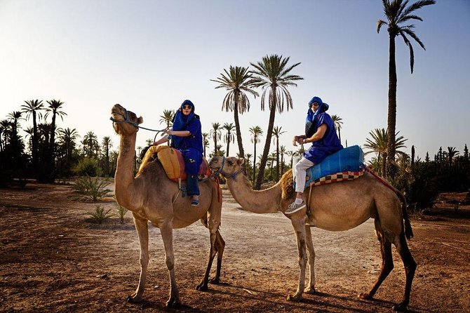 ATV Quad Biking in Marrakech Desert Palmgrove - Tour Duration and Group Size