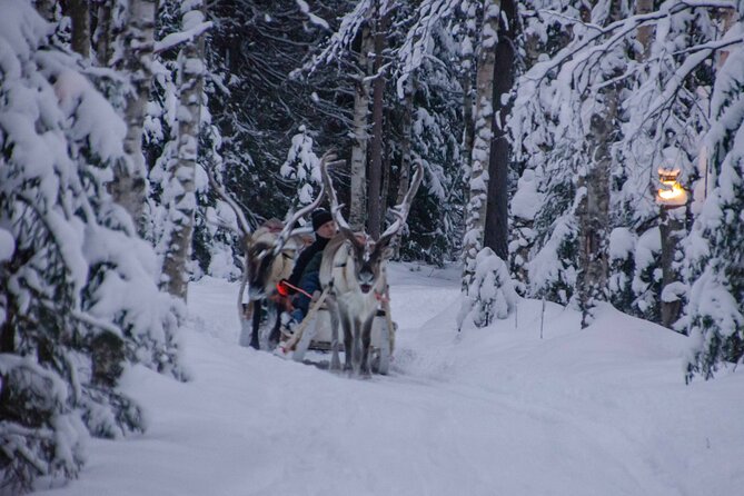 Authentic Reindeer Farm Experience in Rovaniemi - Confirmation and Availability