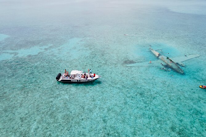 Bahamas Swimming Pigs Full Day Exuma Boat Tour - Encountering Nurse Sharks and Rock Iguanas