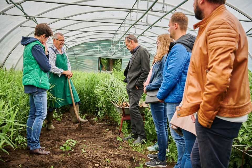 Bamberg: Guided Tour of the Gardeners District - Getting to the Tour