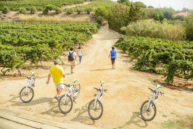 Barcelona Ebike Beach Tour to Vineyards, Wine Tasting & Picnic - Tour Details and Logistics