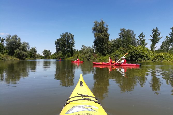 Belgrade Amazon Kayak Adventure - Transportation and Location