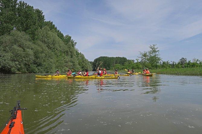 Belgrade War Island Kayak Tour - Personalized Experience