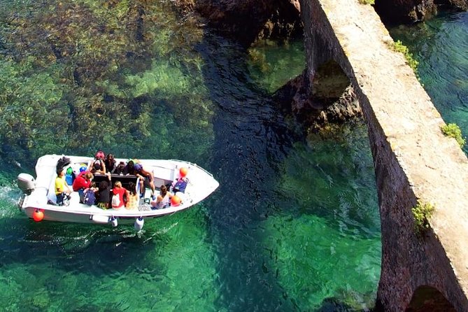 Berlenga Island Small-Group Day Trip From Lisbon - Meeting Point and Start Time