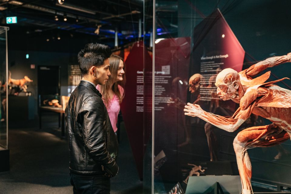 Berlin: Tickets for the BODY WORLDS Museum in Berlin - Factors Determining Human Existence