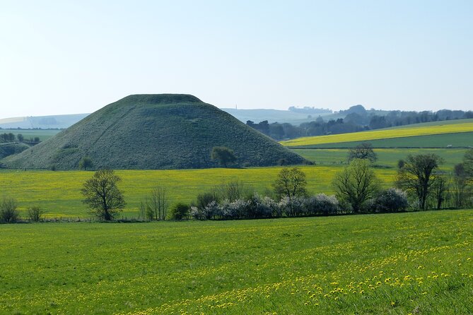 Bespoke Private Tours of Stonehenge and Avebury by Car With Local Guide - Wheelchair Accessibility and Weather Resilience