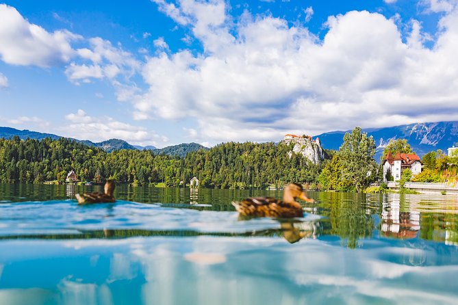 Bled & Bohinj Lakes With Skofja Loka | Private Trip From Ljubljana - Skofja Loka Charm