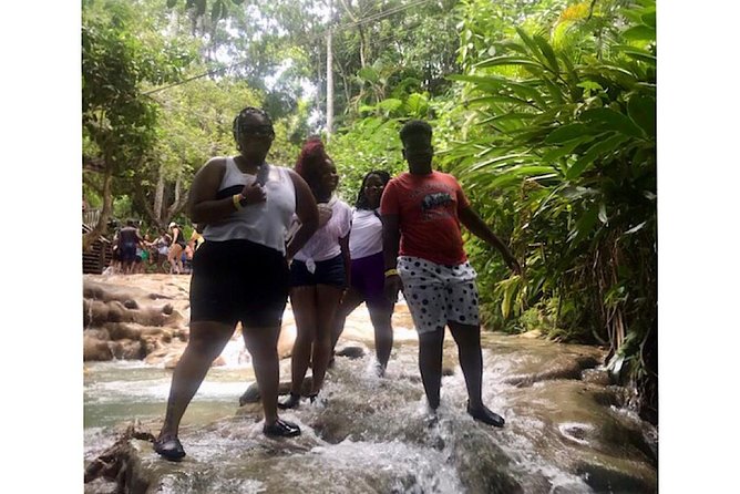 Bob Marleys Nine Mile & Dunns River Falls Tour: Transportation & Ticket - Free Cancellation Policy