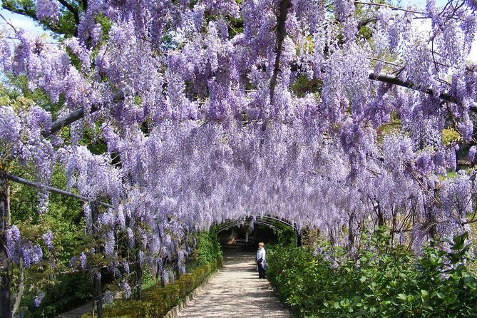 Boboli Garden Tour in Florence - Guided Tour Highlights