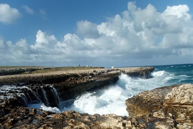 Book Today, Rastafari Experience Antigua Eco Full Island Tour - Explore Antigua