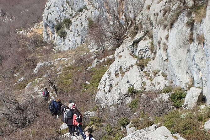 Bovilla Lake Hiking Experience - Scenic Mountain Vistas