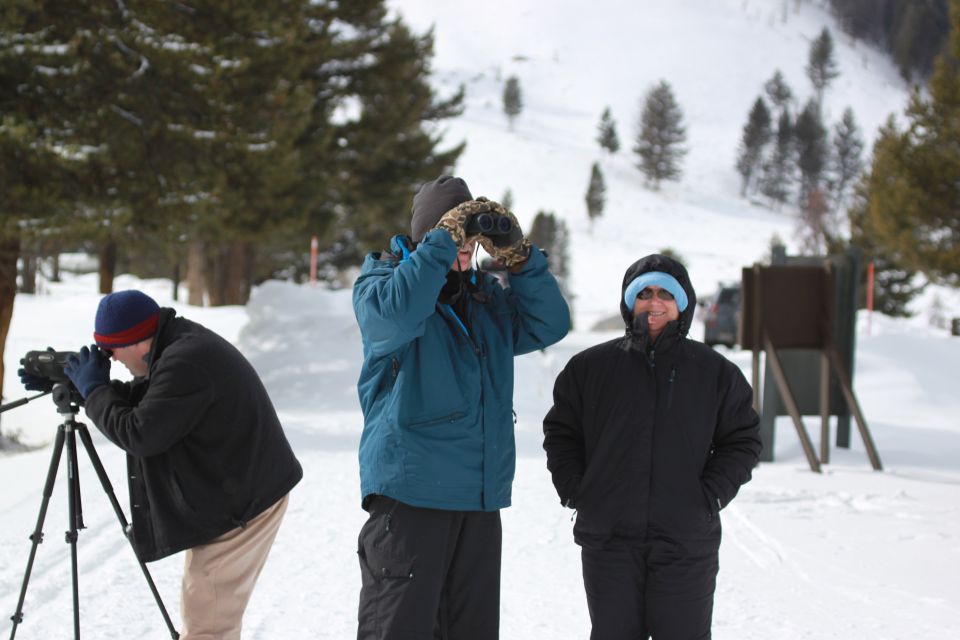 Bozeman: Yellowstone Wolves and Winter 4Day/3Night Adventure - Expert Naturalist Guide