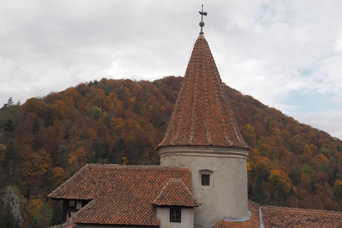 Bran Castle and Rasnov Fortress Tour From Brasov With Entrance Fees Included - Optional Peles Castle Visit - Inclusions and Exclusions