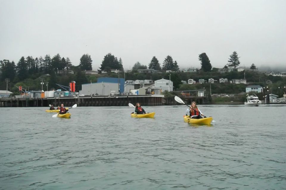 Brookings: Chetco River Kayak Tour - Frequently Asked Questions