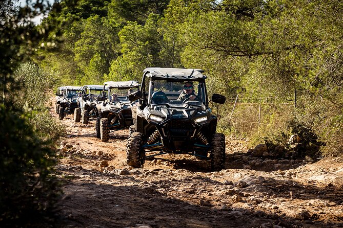 Buggy 2-seater and 4-seater Off-On Road Tour in Mallorca - Accessibility and Safety