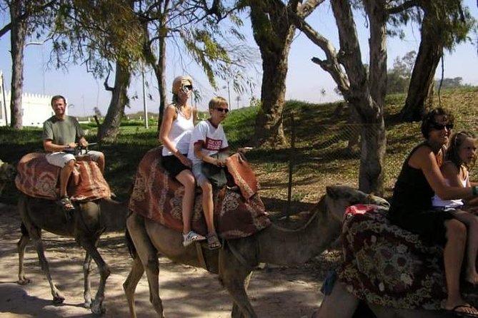 Camel Riding - Safety Considerations