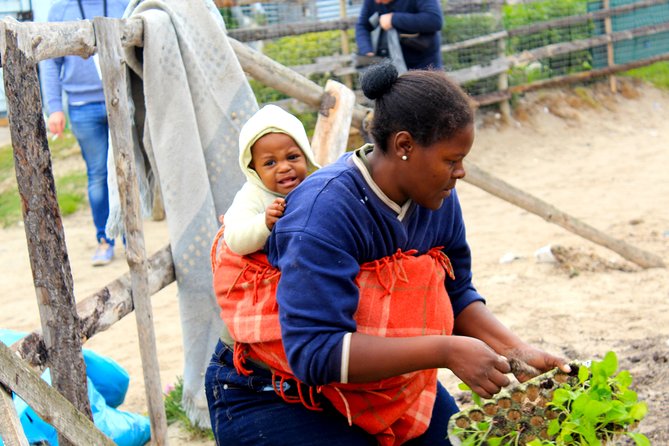 Cape Town Khayelitsha Township Tour - Accessibility and Inclusivity