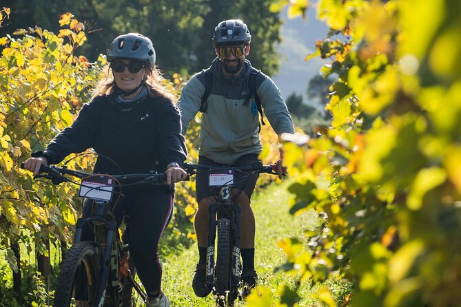 Castiglion Fiorentino - Ebike Tour and Wine Tasting [+40€] - Feedback From Past Participants