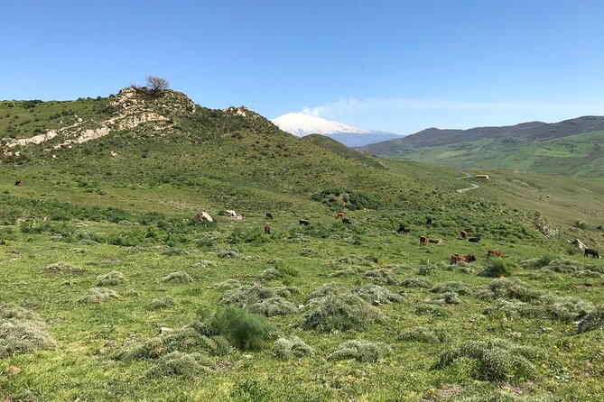 Catania: Mount Etna Morning Jeep Tour - Trekking Shoes and Equipment