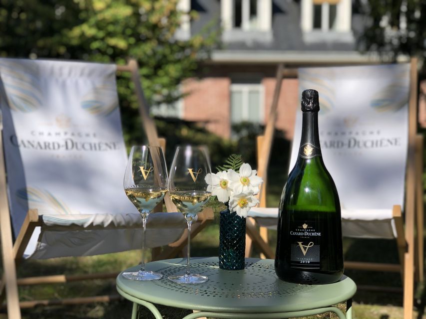 Champagne: Organic Champagne Tasting - Explore the Vineyard