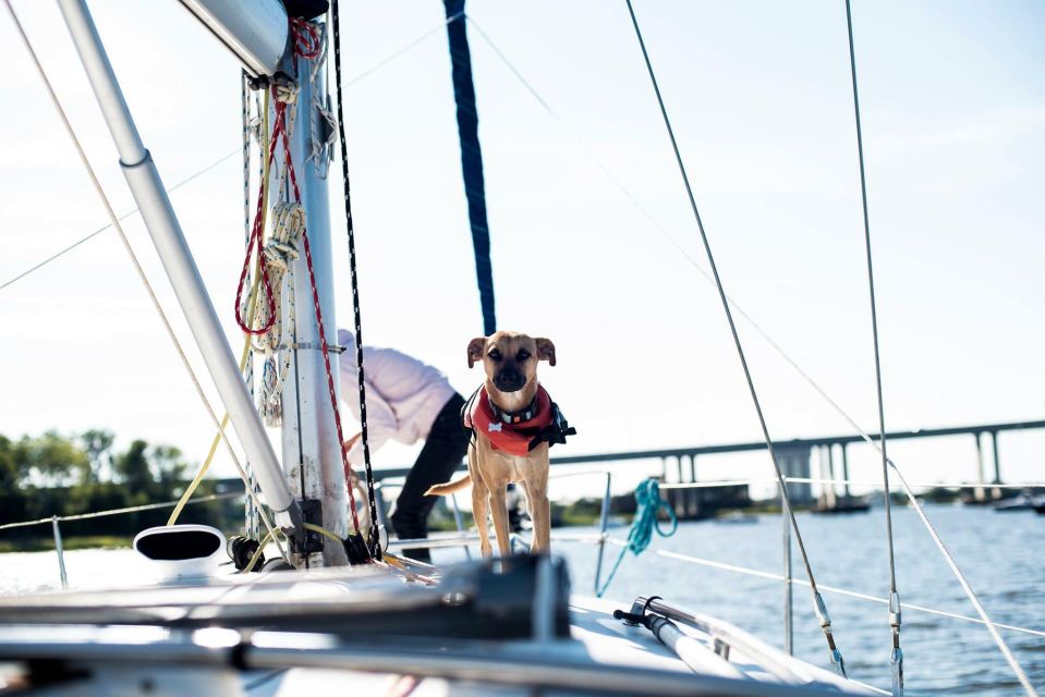 Charleston: Private BYOB Luxury Sailing Cruise - Booking and Reservation