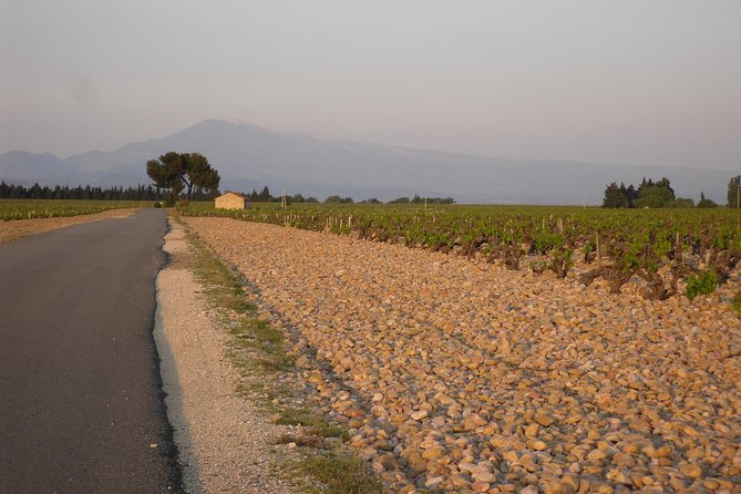 Chateauneuf-Du-Pape Prestige Wine Tour From Avignon - Additional Information