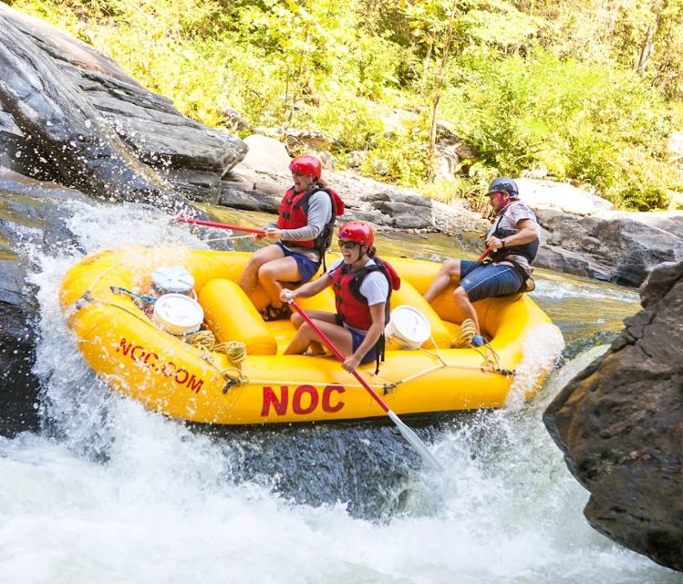 Chattooga: Chattooga River Rafting With Lunch - Trip Highlights and Inclusions