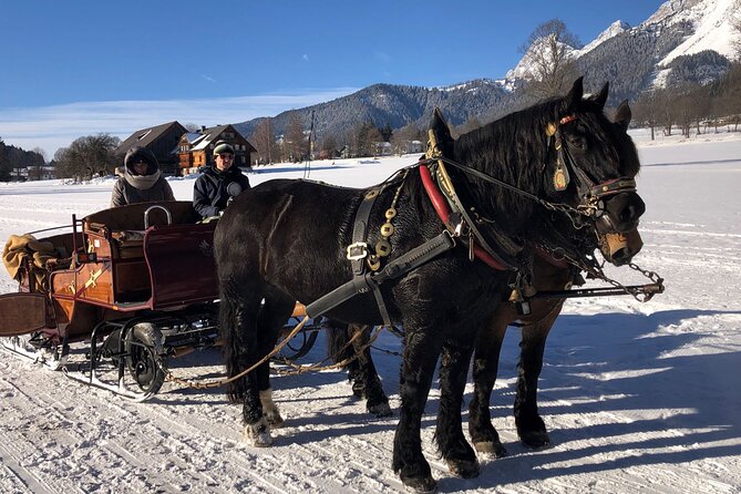 Christmas Horse-Drawn Sleigh Ride From Salzburg - Gratuities Not Included in Package