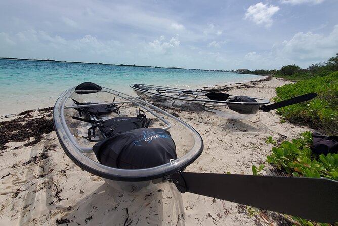 Clear Kayak Mangrove Eco Tour - Tour Schedule