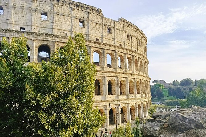 Colosseum, Palatine Hill and Roman Forum Guided Tour - Visiting the Colosseum