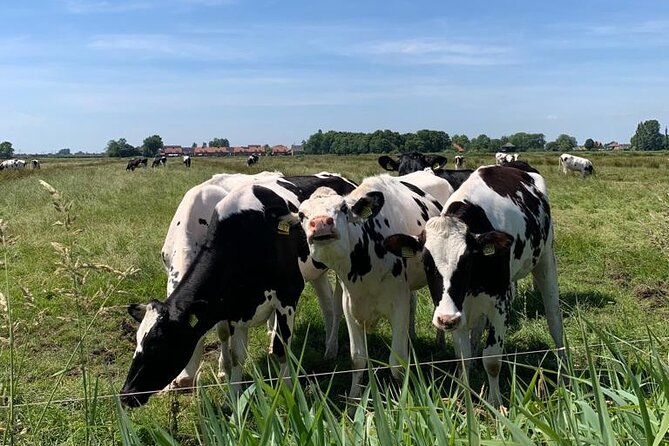 Countryside Bike and Kayak Tour Amsterdam - Meeting and End Point