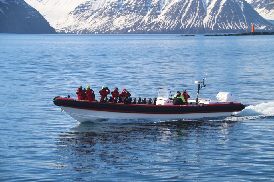 Dalvík: Whale Watching Speedboat Tour - Getting to Dalvík